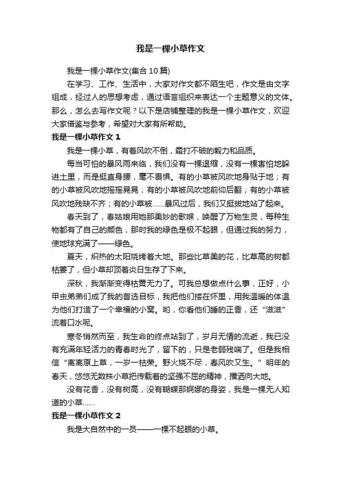 我是一棵小草作文