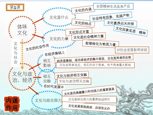 人教版政治必修3文化与生活总结(思维导图)