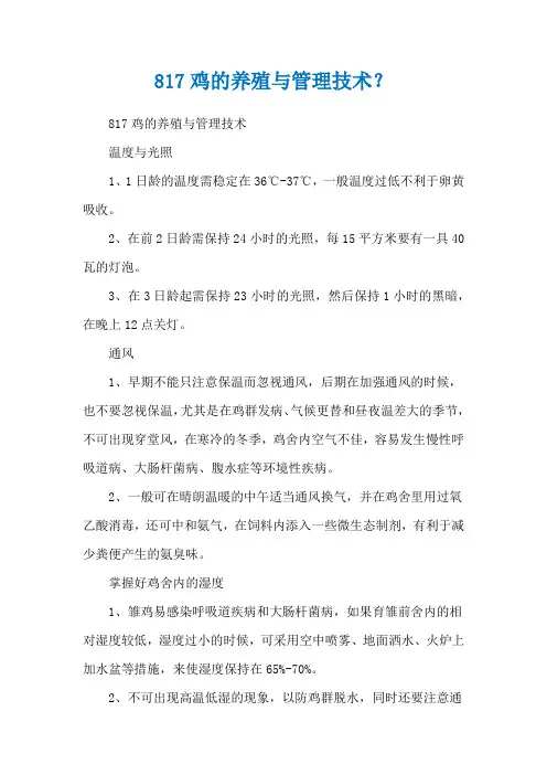 817鸡的养殖与管理技术？