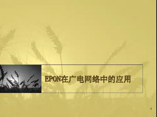 EPON在广电网络中的应用(1)