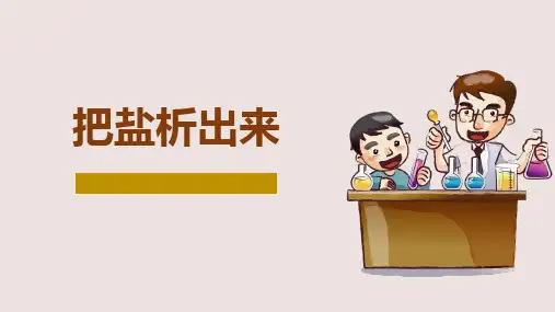 《把盐析出来》精品课件