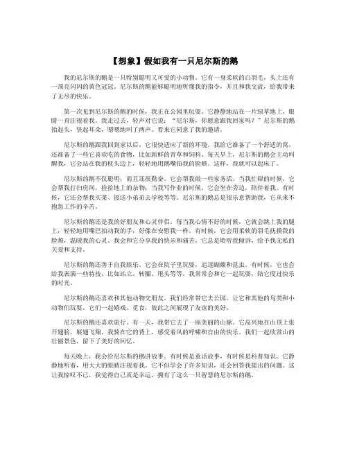 【想象】假如我有一只尼尔斯的鹅