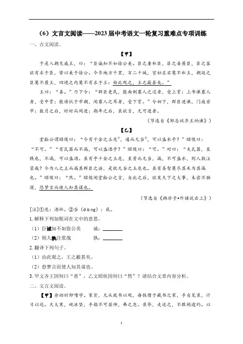文言文阅读——2023届中考语文一轮复习重难点专项训练(含解析)