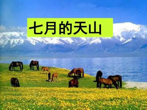 七月的天山完美版