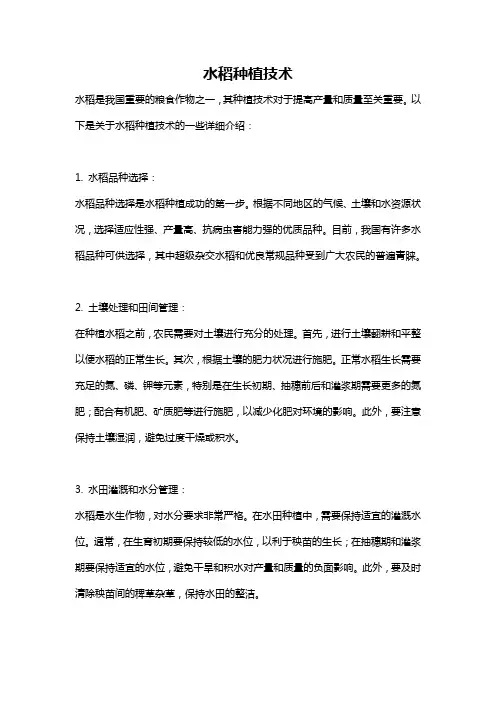 水稻种植技术