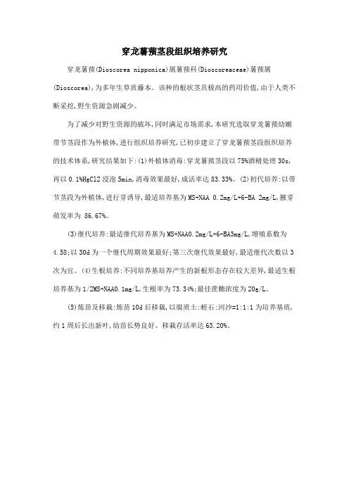 穿龙薯蓣茎段组织培养研究