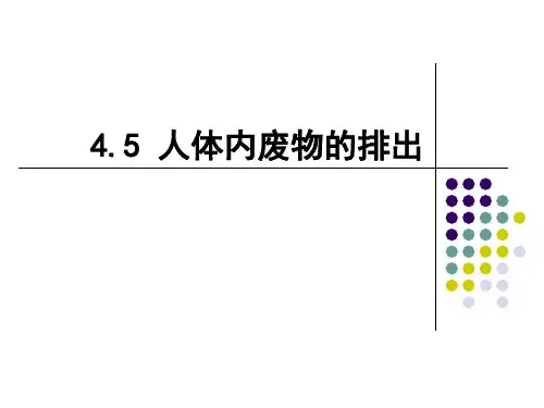 人体内废物的排出