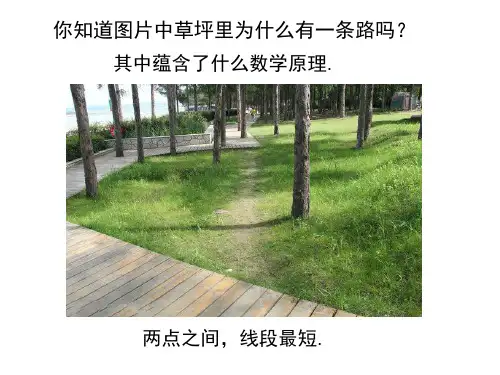 几何体表面的最短路线问题