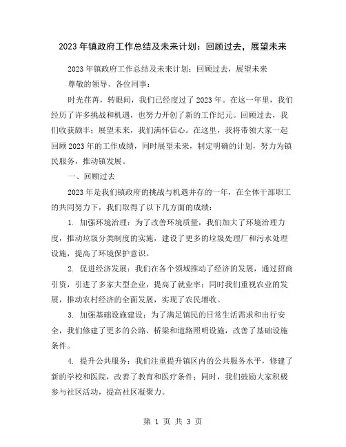 2023年镇政府工作总结及未来计划：回顾过去,展望未来