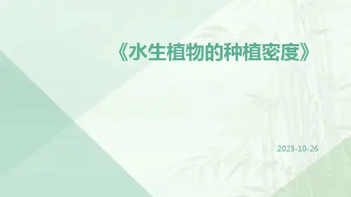 水生植物的种植密度