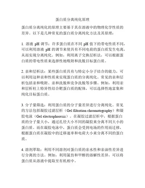 蛋白质分离纯化原理