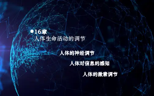 16章：人体生命活动的调节 期末复习课件 苏科版八年级上册生物(共29张PPT)