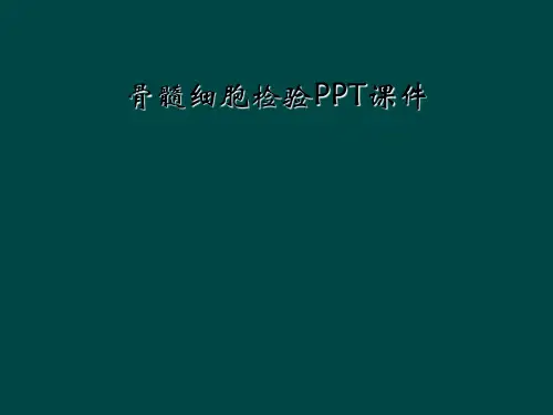 骨髓细胞检验PPT课件