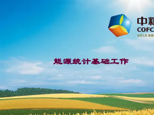 能源计量与能源统计台帐(ppt 36页)