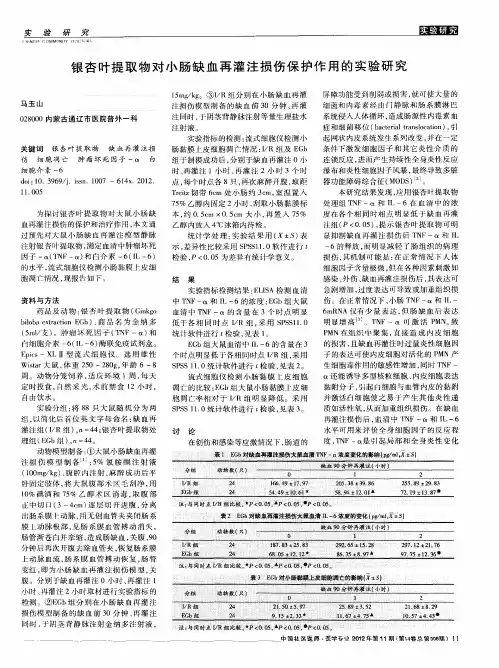 银杏叶提取物对小肠缺血再灌注损伤保护作用的实验研究