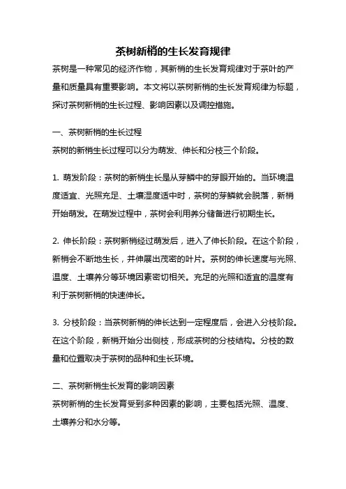 茶树新梢的生长发育规律
