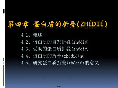 第4章 蛋白质折叠