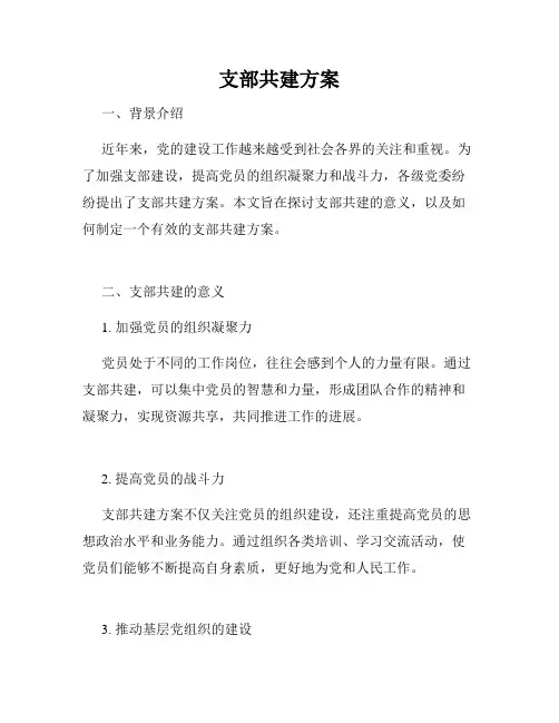 支部共建方案