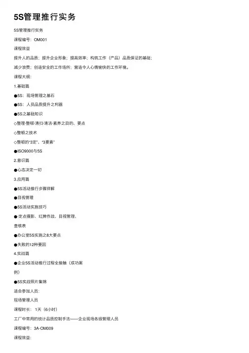 5S管理推行实务