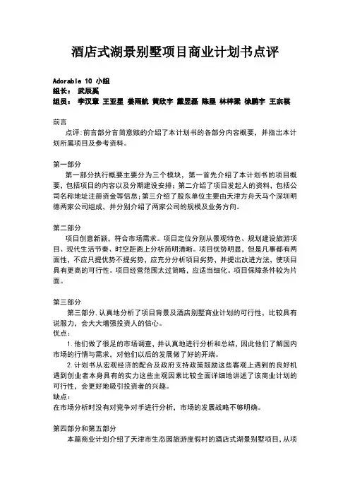 商业计划书点评