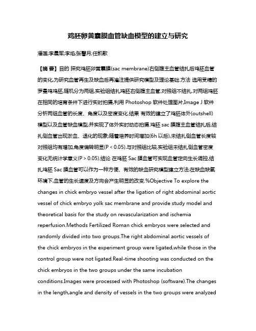 鸡胚卵黄囊膜血管缺血模型的建立与研究