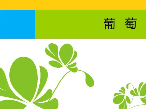葡萄品种大全实用PPT文档
