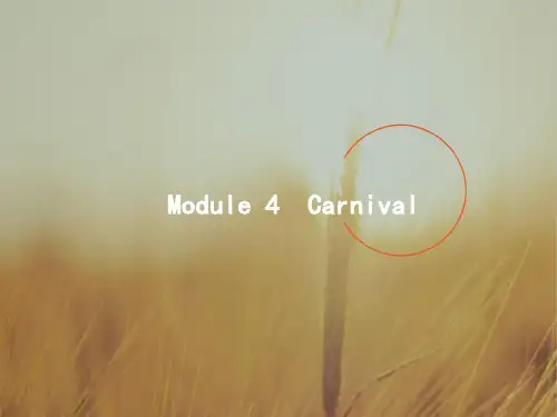 2018届高三英语外研版一轮课件：5-4Module 4 Carnival 精品