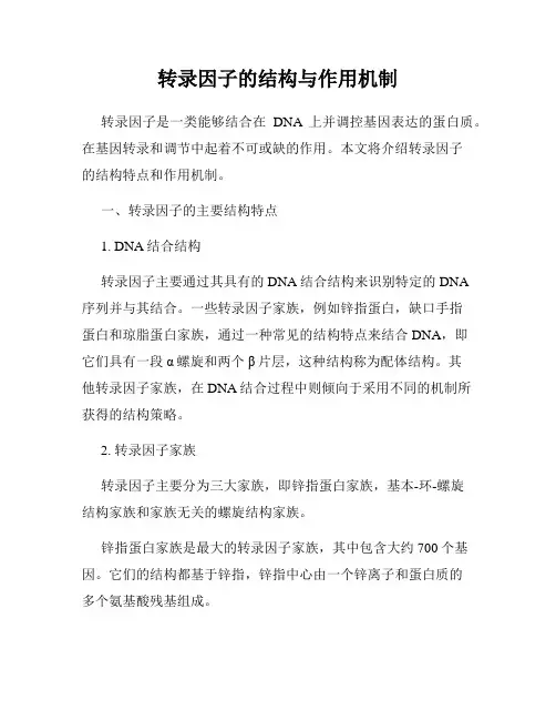 转录因子的结构与作用机制