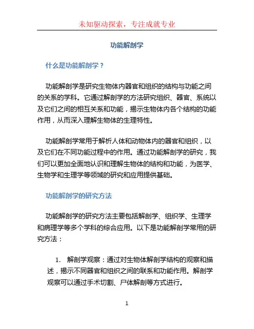 功能解剖学