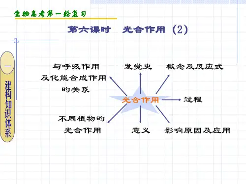 生物高考光合作用省名师优质课赛课获奖课件市赛课一等奖课件