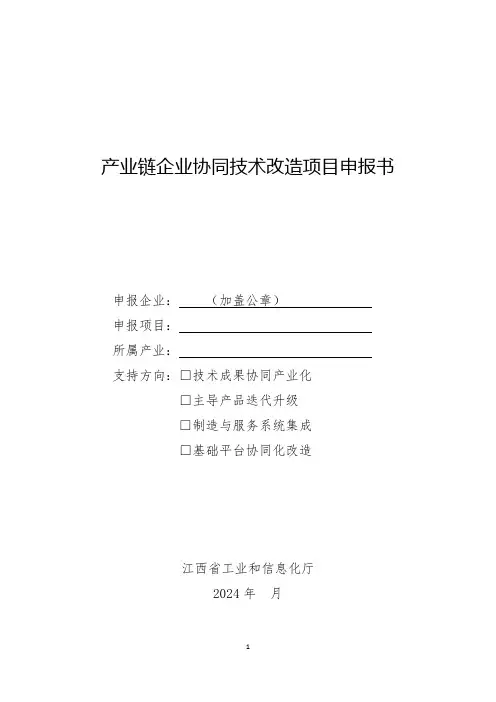 产业链企业协同技术改造项目申报书
