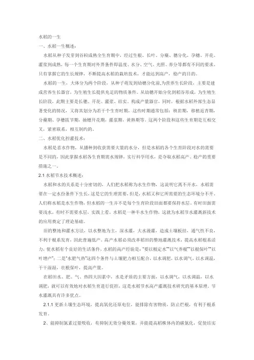 水稻的一生