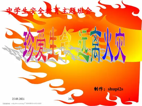 珍爱生命-远离火灾PPT课件