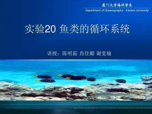 实验四鱼类的循环系统
