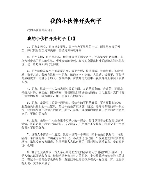 我的小伙伴开头句子