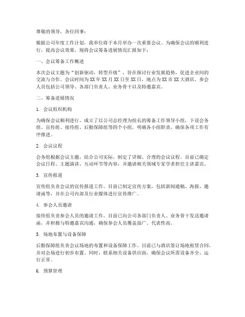 会议筹备进展情况报告