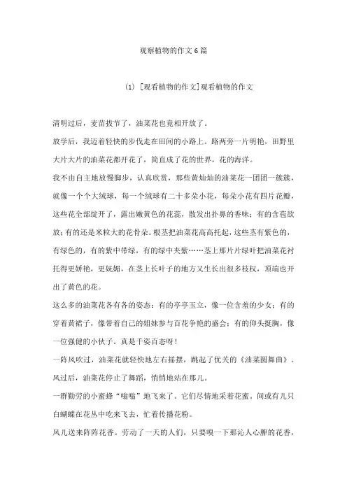 观察植物的作文6篇