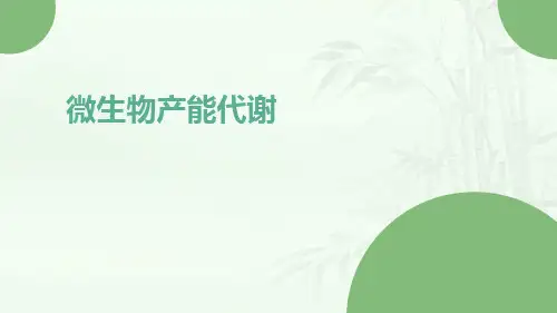 微生物产能代谢