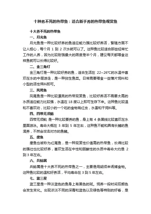 十种养不死的热带鱼：适合新手养的热带鱼观赏鱼
