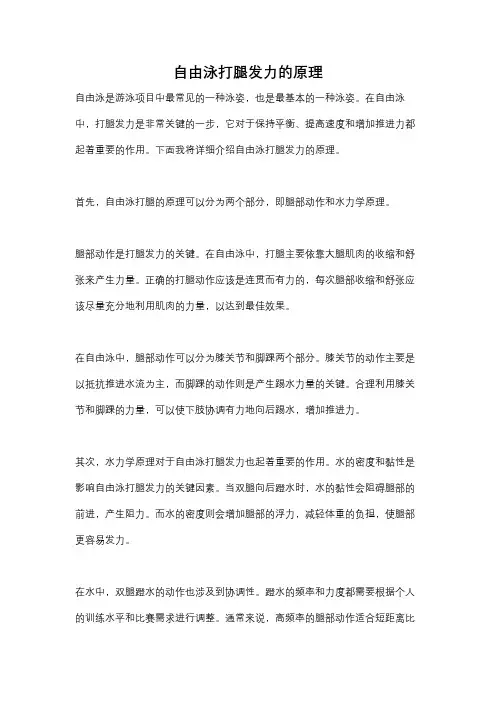 自由泳打腿发力的原理