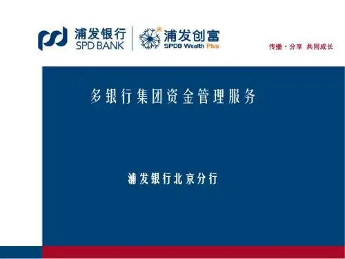 多银行资金管理服务客户版.ppt