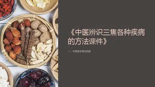 《中医辨识三焦各种疾病的方法课件》