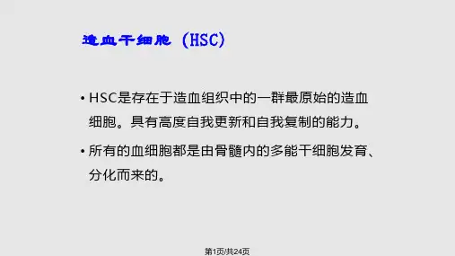 B淋巴细胞的发育分化PPT课件