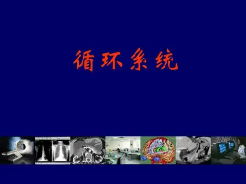 循环系统影像诊断-2017-3-13