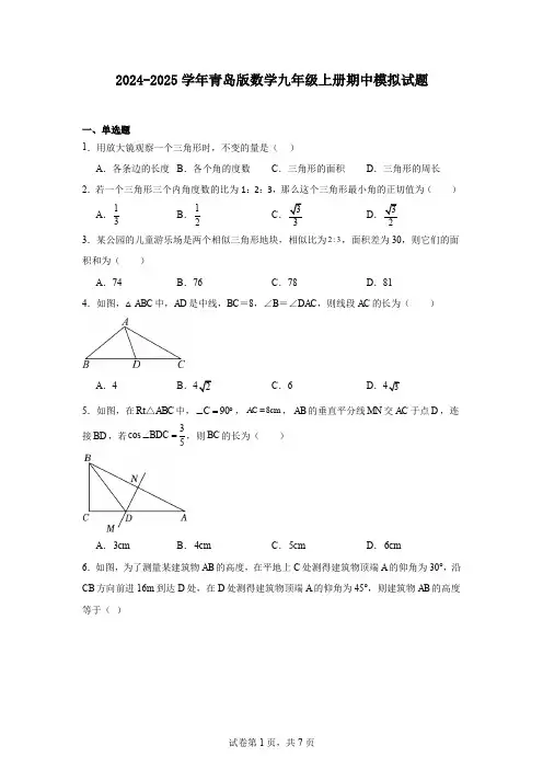 2024-2025学年青岛版数学九年级上册期中模拟试题
