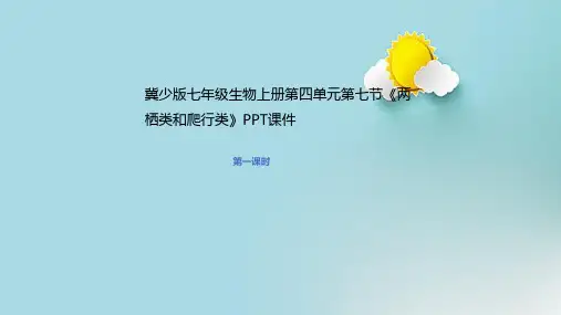 冀少版七年级生物上册第四单元第七节《两栖类和爬行类》PPT课件