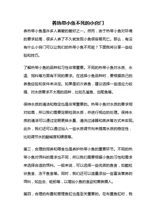 养热带小鱼不死的小窍门
