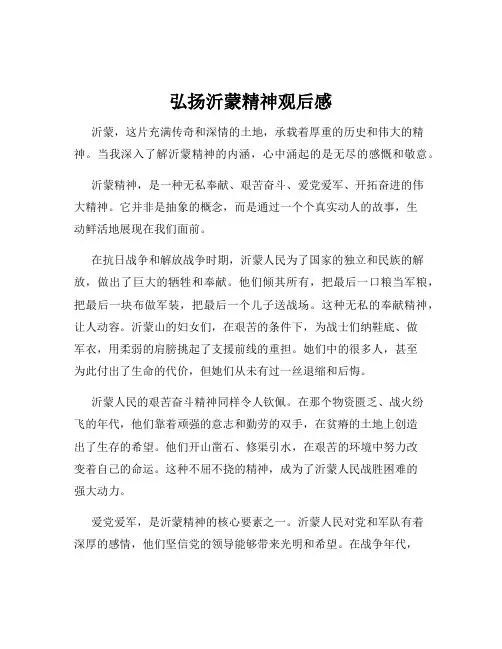 弘扬沂蒙精神观后感