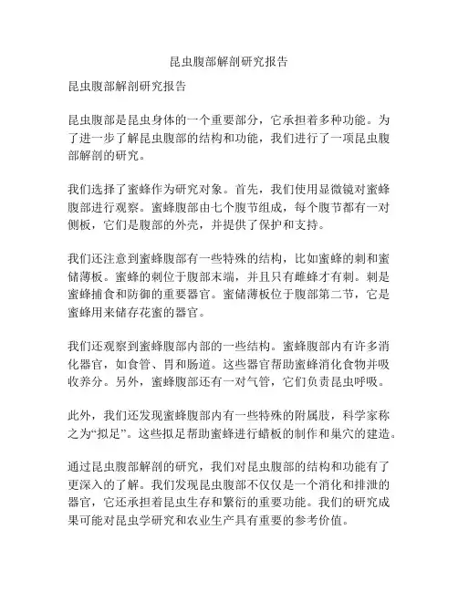 昆虫腹部解剖研究报告