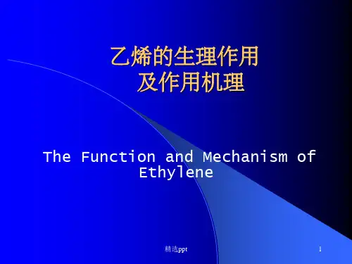 乙烯的生理作用及作用机理ppt课件